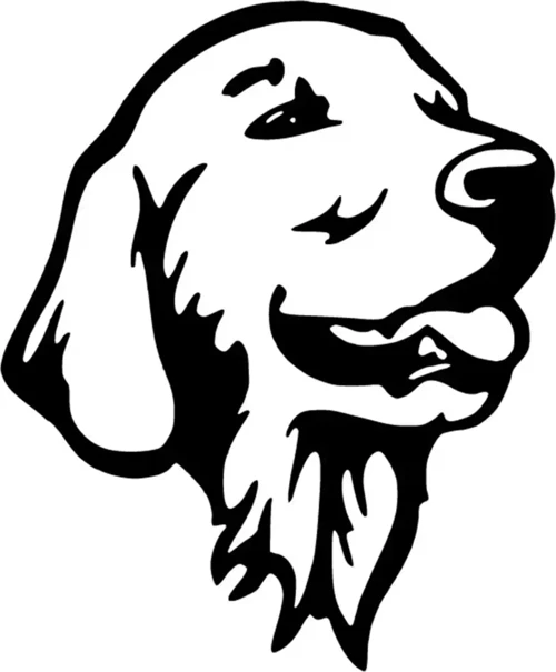 Goldenretriever Sticker (Oto-Motor-Laptop-Duvar-Dekor) 10 x 12 cm