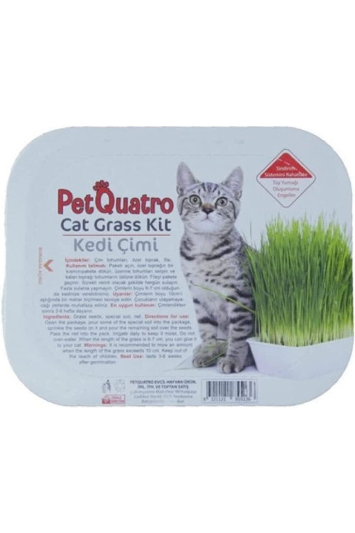 Petquatro Kedi Çimi Sağlık Ürünü