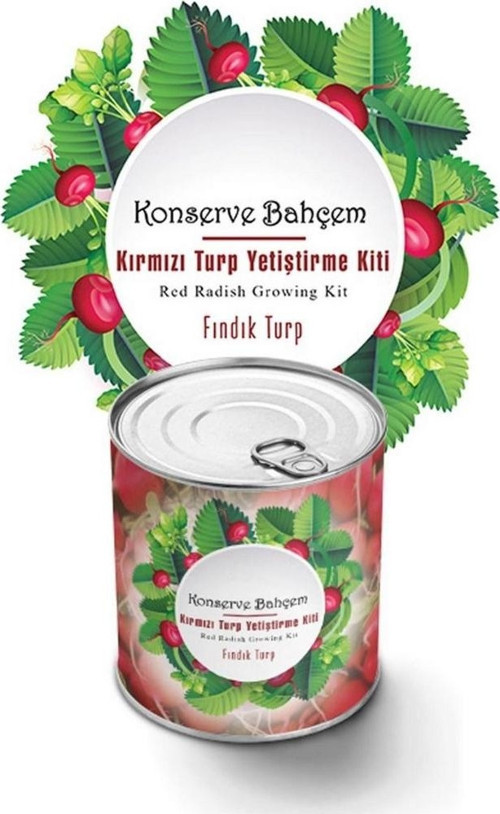 Evde Konservede Fındık Turp Yetiştirme Kiti (2818)