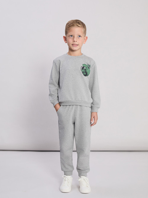 Kids Gri Dinozor Baskılı Erkek Çocuk Sweatshirt Ve Eşofman Altı