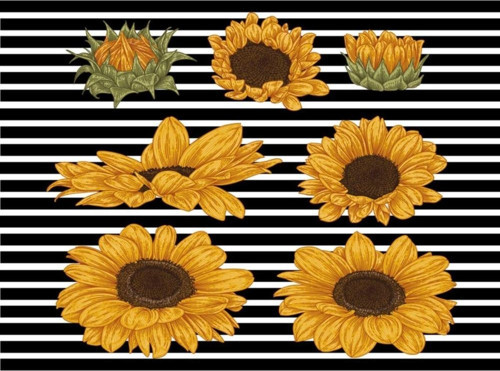 Pvc Kaplamalı Silinebilir Amerikan Servis 30x40 cm