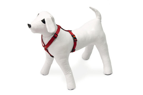 Kilitli Göğüs Tasması, Köpekler İçin,25-40 cm, Kırmızı
