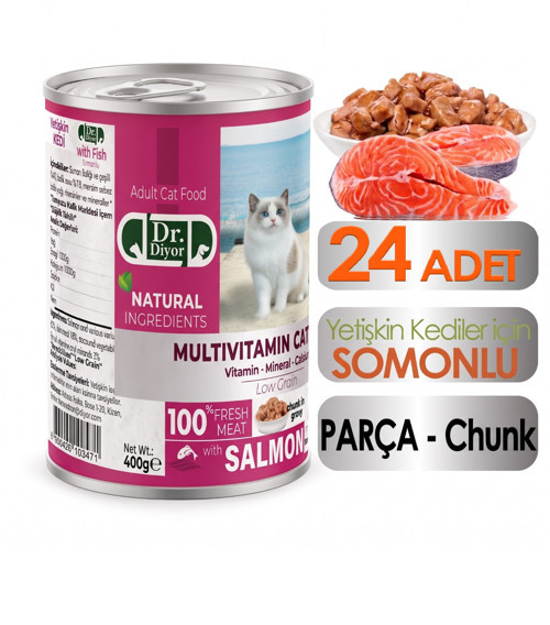 Dr. Diyor Somonlu Yetişkin Kedi Maması 24 Adet