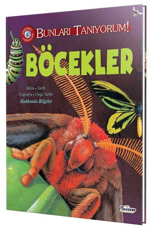 Böcekler - Bunları Tanıyorum!