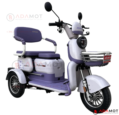 Rüzgar New 650 W 3 Tekerlekli Elektrikli Motosiklet