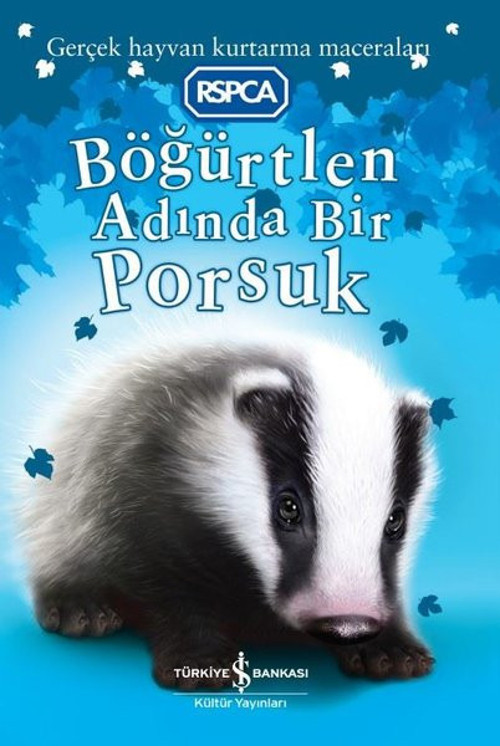 Böğürtlen Adında Bir Porsuk - Gerçek Hayvan Kurtarma Macerası