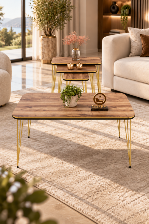 Çift Ceviz Orta Sehpa ve Zigon Sehpa 4'lü Set Metal Tel Ayaklı Modern Retro Salon Sehpası