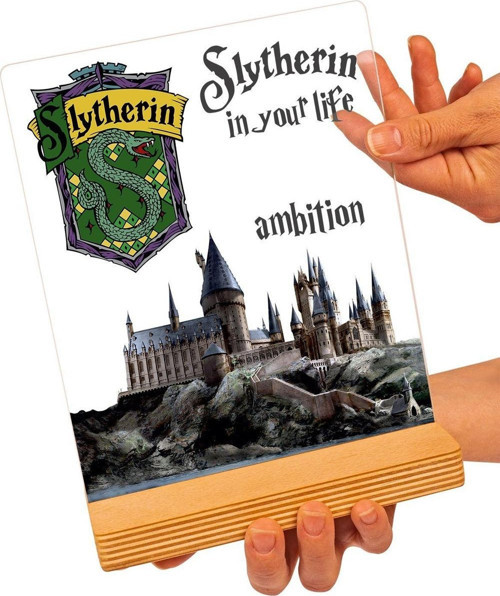 Harry Potter Hediyesi Hogwarts Slytherin Binası Hediye Paketli Şeffaf Çerçeve