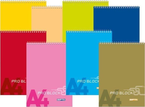 Bloknot Spiralli Plastik Kapak No:2 Çizgili 60 Yaprak 24 Lü (1 Paket 24 Adet)