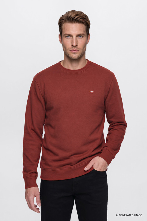 Pamuklu Selanik Regular Fit Erkek Sweatshirt W2620080810