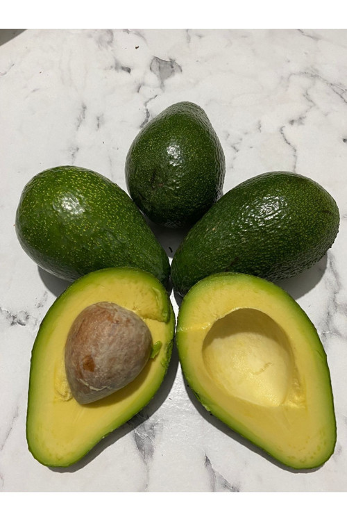 Avokado2 Kg Karma Boy-Taze Hasat