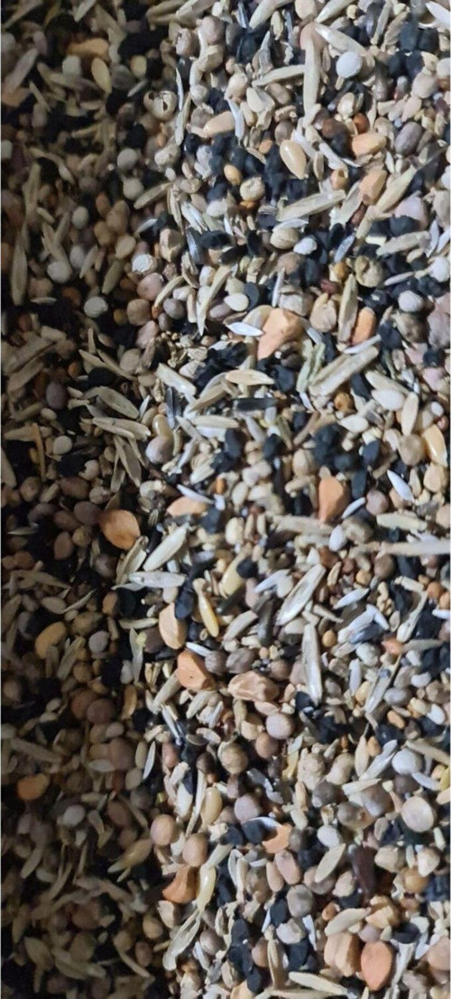 Yabani Sağlık Tohumu 500 Gr