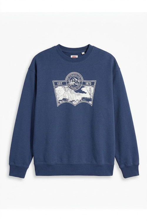 relaxed fit pamuk kumaş Erkek Graphic Sweatshirt