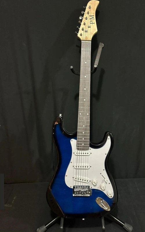 Elektro Gitar Blueburst Sss Manyetik Kılıf Kablo Pena