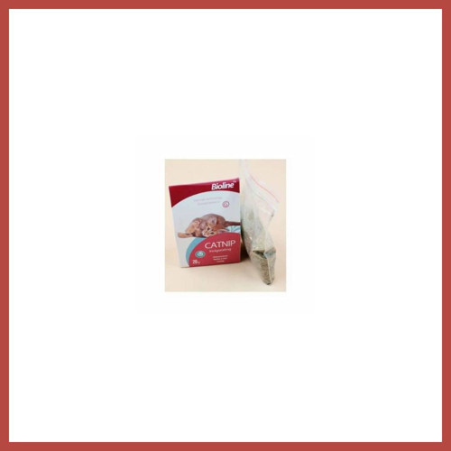 Catnip Kedi Otu 20 Gr ERDOTICA