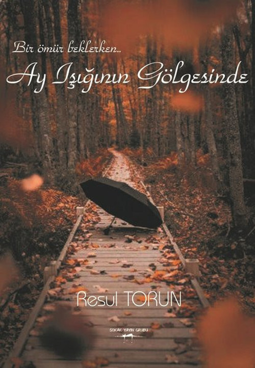Ay Işığının Gölgesinde