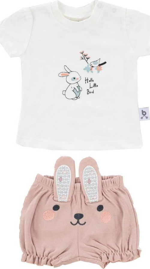 Hero Kısa Kol Desenli Bebek T-Shirt & Nakışlı Şort Seti Bunny