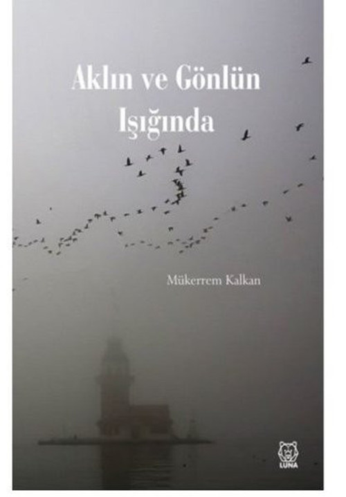 Aklın ve Gönlün Işığında
