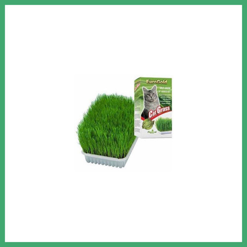 QAKSH Cat Grass Kedi Çimi BS