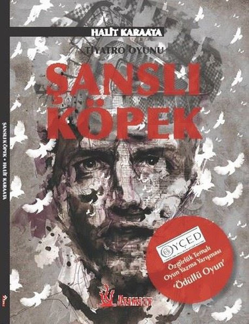 Dramatik Şanslı Köpek