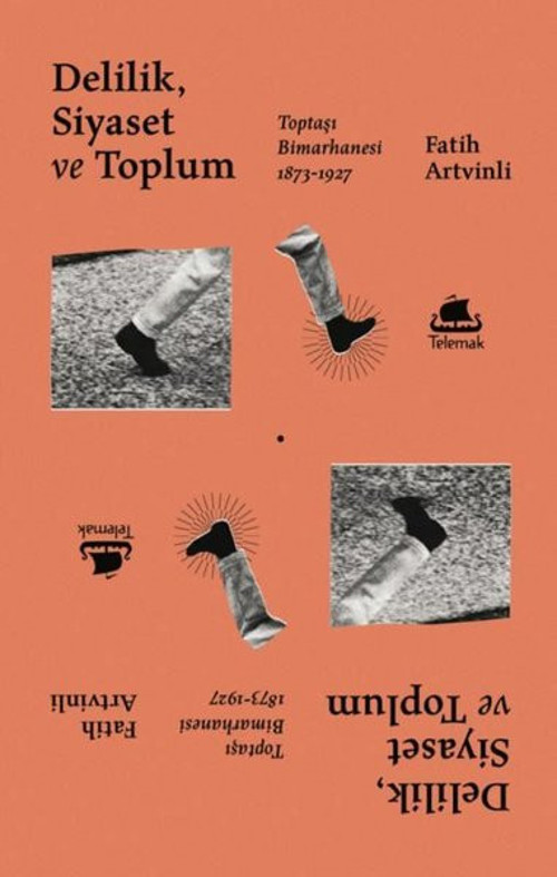 Delilik Siyaset ve Toplum: Toptaşı Bimarhanesi 1873-1927