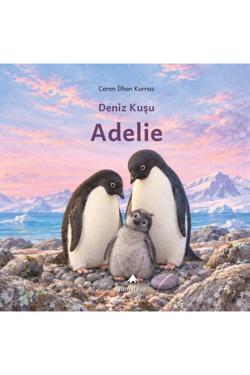 Deniz Kuşu Adelie
