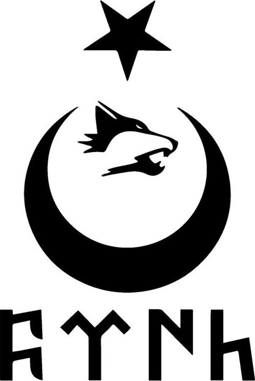 Ay Yıldız Kurt Göktürkçe Türk Sticker (Oto-Motor-Laptop-Duvar-Dekor) 30 x 45 cm