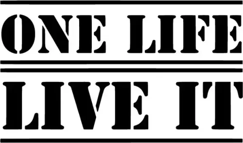 One Life Live It Sticker (Oto-Motor-Laptop-Duvar-Dekor) 20 x 12 cm