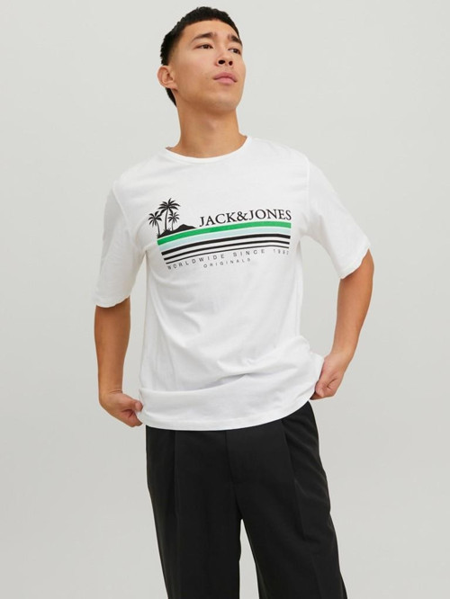 T-Shirt Erkek T-Shirt 12235154