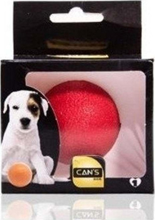 Can S Köpek Oyuncak Sert Dayanıklı Top