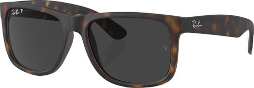 RB4165 865/87 54 Polarize Unisex Güneş Gözlüğü