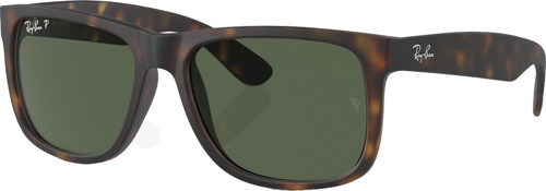 RB4165 865/9A 54 Polarize Unisex Güneş Gözlüğü