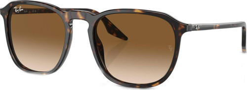 RB2203 902/51 52 Unisex Güneş Gözlüğü