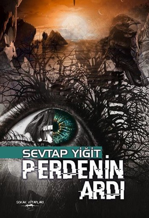 Sokak Kitapları Yayınları Perdenin Ardı
