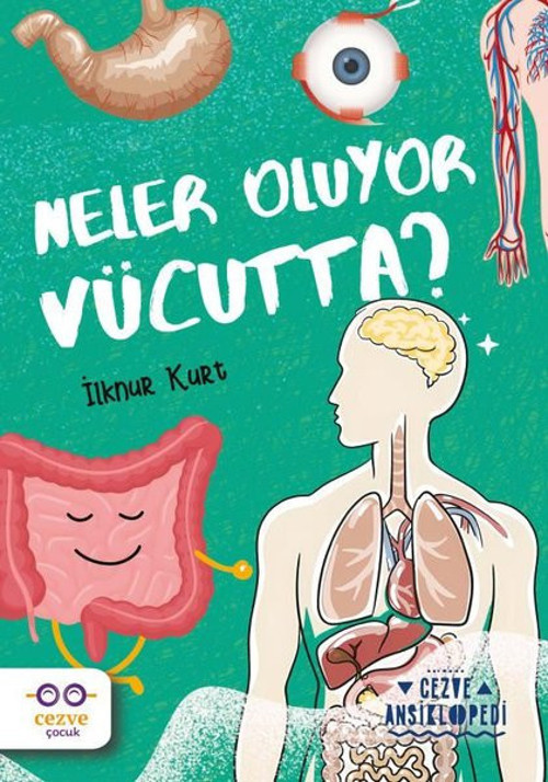 Neler Oluyor Vücutta? Cezve Ansiklopedi