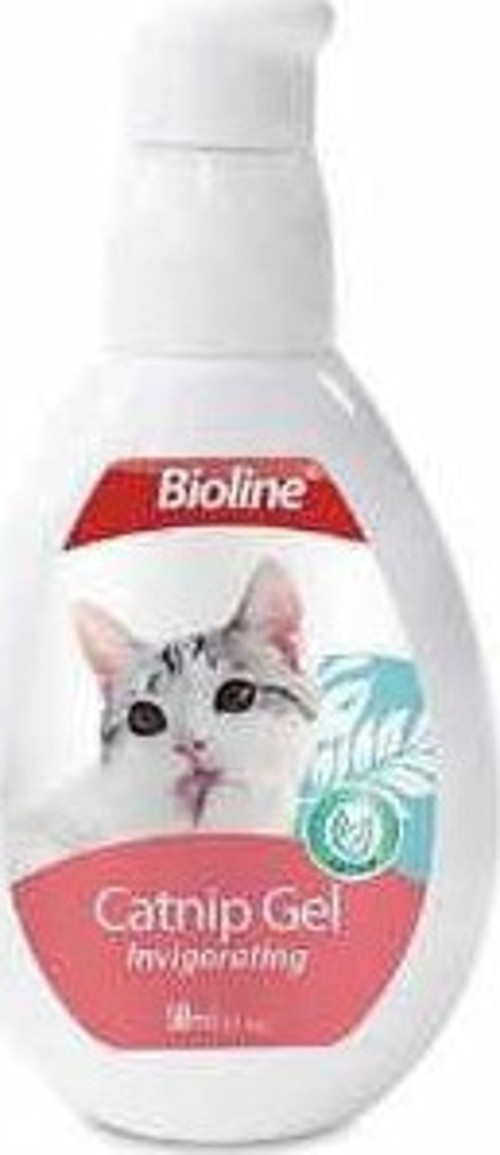 Catnip Kedi Jeli 50 ml