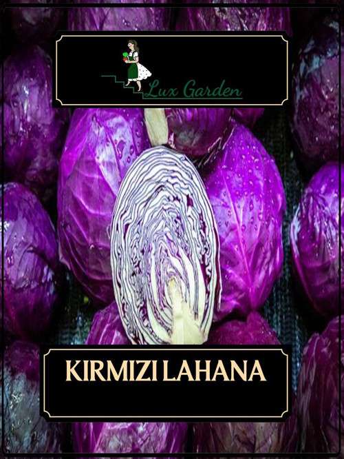 Kırmızı Lahana Tohumu 120 Adet