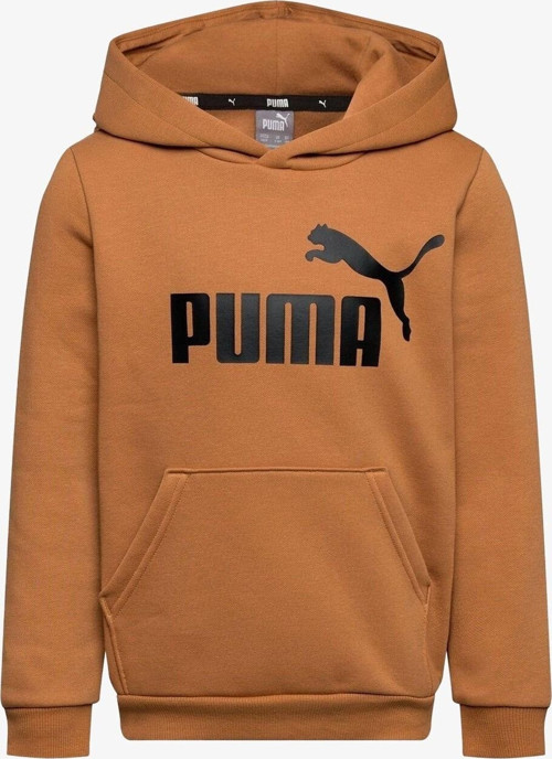 Ess Big Logo Hoodie Kahverengi Erkek Sweatshırt