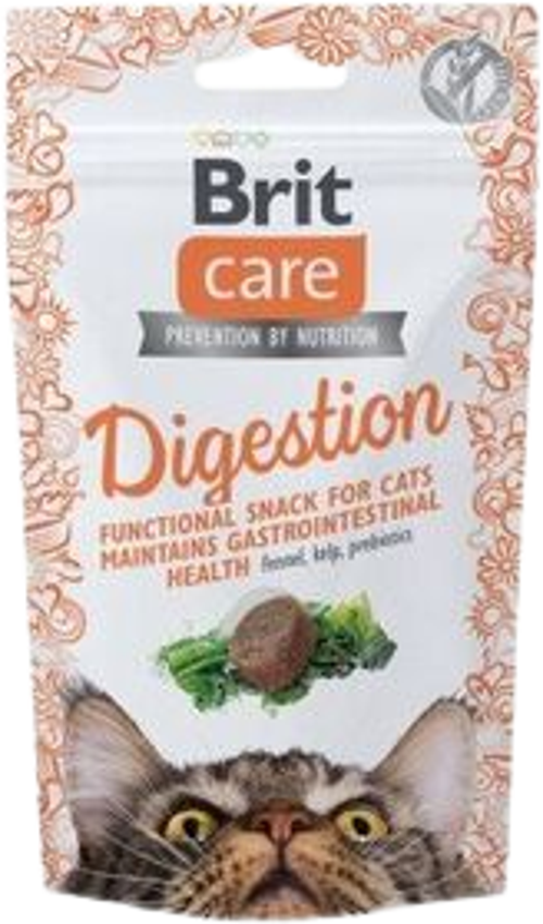 Snack Digestion Sindirim Sistemi Düzenleyici Kedi Ödül Maması 50gr