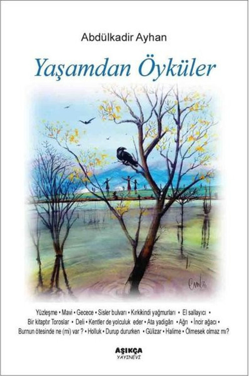 Aşıkça Yayınevi Yaşamdan Öyküler