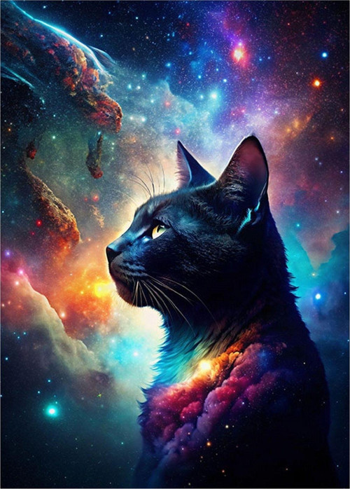 Siyah Kedi Ve Galaksi Model Ahşap Tablo 50 cm x 70 cm