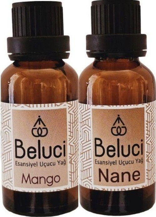 Mango + Nane (Oda Kokusu Aroma Terapi Buhurdanlık/Difüzör Yağı) Set 2 Adet x 30 ml