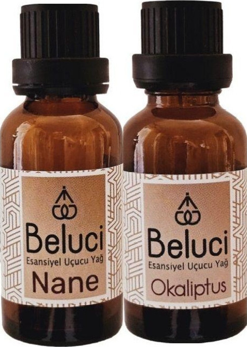 Nane + Okaliptus (Oda Kokusu Aroma Terapi Buhurdanlık/Difüzör Yağı) Set 2 Adet x 30 ml