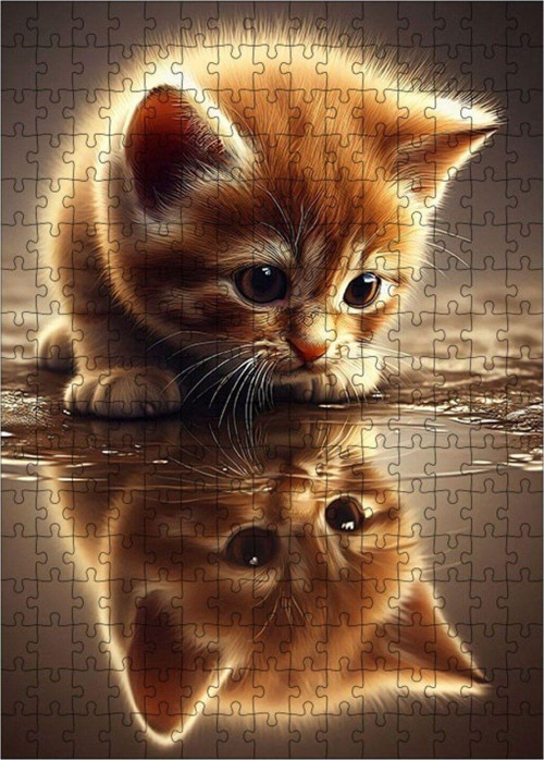 Ahşap Mdf Puzzle Yapboz Sarı Kedi Ve Yansıması 255 Parça 35 x 50 cm