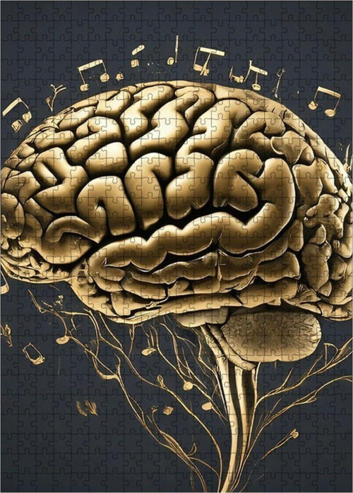Ahşap Mdf Puzzle Yapboz Müzik Beyin 500 Parça 50 x 70 cm
