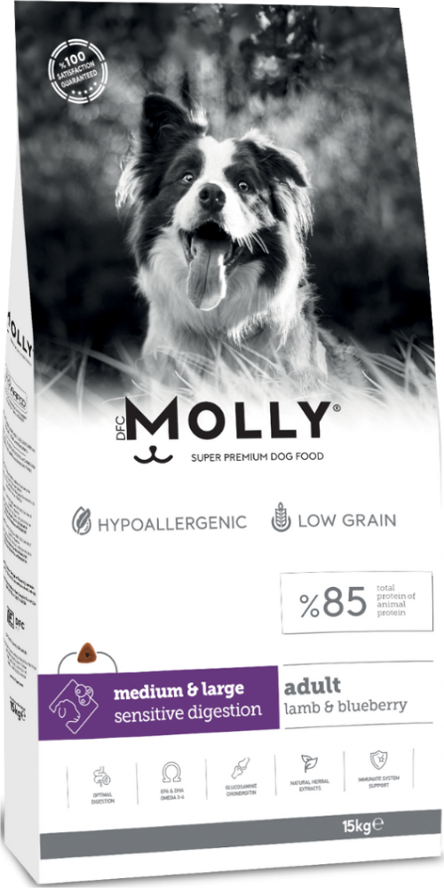 Medium Adult Kuzu Etli & Yaban Mersinli Orta Ve Büyük İrk Yetişkin Köpek Maması 15 Kg