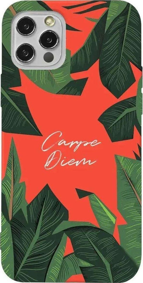 İphone 14 Pro Turuncu Renkli Silikon Telefon Kılıfı - Carpe Diem In The Leafs