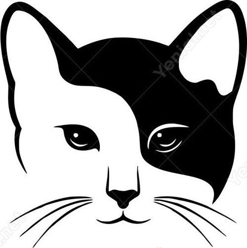 Bıyıklı Kedi (Oto-Motor-Laptop-Dekor) Sticker 20 x 20 cm