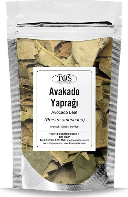 Avokado Yaprağı 50 gr (1. Kalite) Persea americana / Avocado Leaf