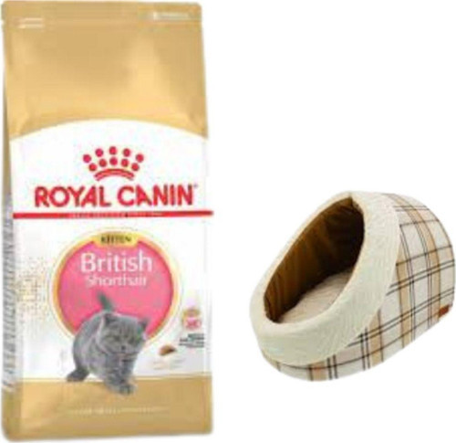 British Shorthair Kitten Yavru Kuru Kedi Maması 2 Kg,Mia Alaska Ekose Krem Yatak